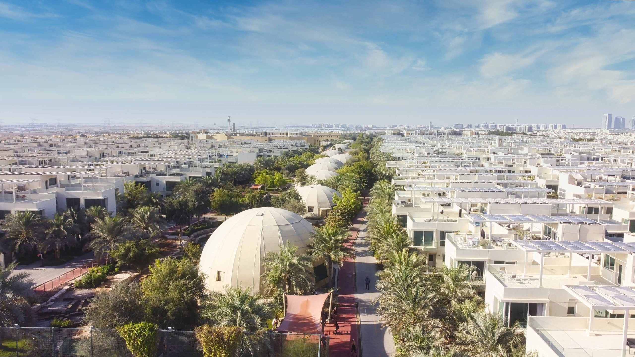 The Sustainable City celebrates biodiversity on the occasion of World Environment Day