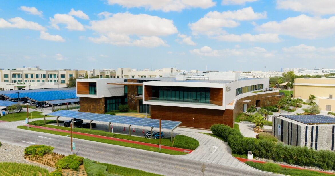 SEE Institute Launches Professional Diplomas to Advance Sustainability Education